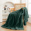 Soft Lightweight Plush Microfiber Blanket 50x60 in 1
