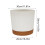 Vasos de flores para interiores com furos de drenagem e pires, 30 cm (12 polegadas) 3
