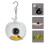 Bird Feeder with HD 1080P Camera Night Vision WiFi 1