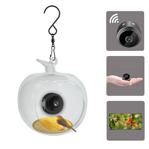 Bird Feeder with HD 1080P Camera Night Vision WiFi