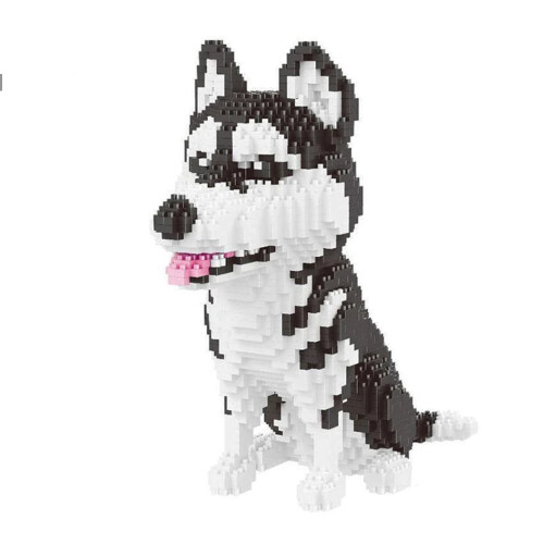Kit de construction de blocs nano STEM pour chiens, à partir de 10 ans