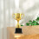 Gold Trophy Award for Teamwork 19 cm 8