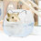 Transparent Plastic Pet Bath Basin for Small Pets 1 Piece 6
