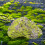PU Foam Rock Cover for Landscaping 1pc 8