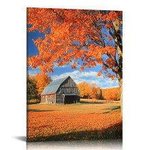 Fallen Trees Nature Canvas Wall Art 16x20in