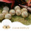 Baseball display case with golden base and transparent cover 7