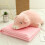 Cartoon Animal Pillow Blanket Two-in-One Dual-Function 1