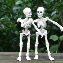 Anatomical Human Skeleton Model Kit for Education
