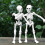 Anatomical Human Skeleton Model Kit for Education 1