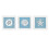 Blue Seashells and Starfish 3D Wall Art Coastal Decor 1