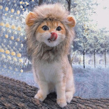 Pet Lion Costume Hat with Mane Wig