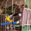 Bird Perch Sharpening Rod for Cage 5