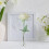 Suporte transparente para embrulho de flores em bola de acrílico 8x6,3x6,3 polegadas 7