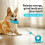 Dog Toy Suction Cup Tug Blue Durable Bite-Resistant 1