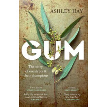 Gum