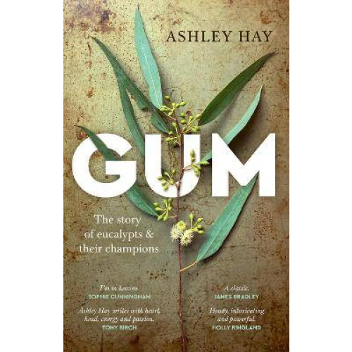 Gum