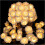 White Rose String Lights 30-LED 10ft Battery-Powered 1