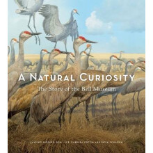 A Natural Curiosity