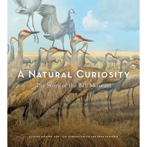 A Natural Curiosity