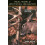 Real World Whitetail Behavior 1