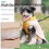 Dog Coats Windproof Warm Reflective for Small Medium Dogs 4