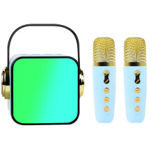 Mini Karaoke Machine Portable with Microphones