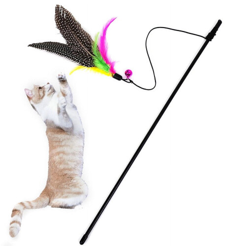 Cat Teaser Wand with Feather 56cm Durable Elastic Cord