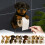 3D Printed Dog Toilet Paper Holder Wall-Mounted 1