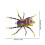 Rybárska návnada Phantom Spider hnedá, 3-palcová, dutá 2