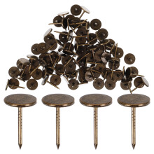 Flat Head Thumb Tacks Dark Brown Iron 100 pcs