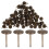 Flat Head Thumb Tacks Dark Brown Iron 100 pcs 1