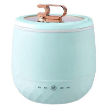Mini Rice Cooker Light Green Portable Multi-Function
