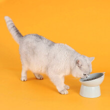 15 Tilted Anti-Spill Pet Bowl, Transparent PC, Removable, Anti-Topple, Cervical Spine Protection—Compatible with Cats & Dogs