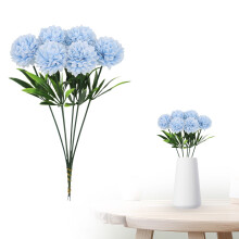 The Dandelion Flower Can Decorate Your Home And Make Your Frame Look Even More