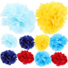 Paper Pom Poms Tissue Flowers for Wedding 10 pcs
