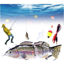 Robotic Fishing Lure 3D Swimming Bait for Freshwater and