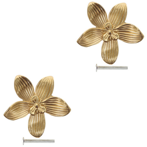 Gold Cabinet Door Handle Set 2 Count
