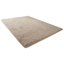 Fluffy Shag Rug 32x63 inch for Living Room Bedroom Nursery