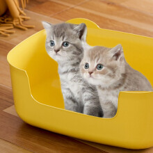 Large Cats Litter Box – Spill-Proof, Fully Open One-Piece Tray, Sturdy Plastic, Easy Clean, Compatible with All Litter Types