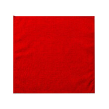 Boutique Clean Kitchen Microfiber Dishcloths & Thick Rags – Fast Absorbing, Soft, Dishwashing Towels