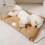 Warm Washable Cotton Dog Bed for Small to Medium Pets 1