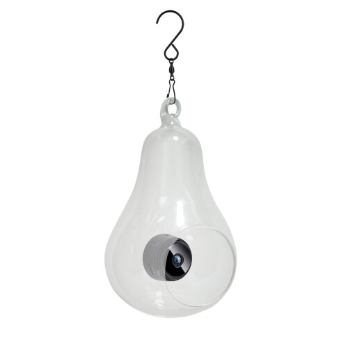 Bird Feeder with Camera 1080P WiFi Night Vision 1