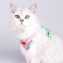Cat Harness and Leash Set Reflective Air Mesh Pink