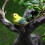 Vogelstatue, Feengarten-Ornament, Gartendekoration 4