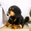 Tibetan Mastiff Stuffed Mascot Soft Decoration 4 8