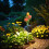 Solar Rose Garden Light IP65 Waterproof Auto On/Off 1