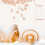 Silicone Nipple Shields for Flat Inverted Nipples 6 4 2 1 8