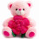 Urso de Pelúcia Rosa 20cm Macio - Presente 1