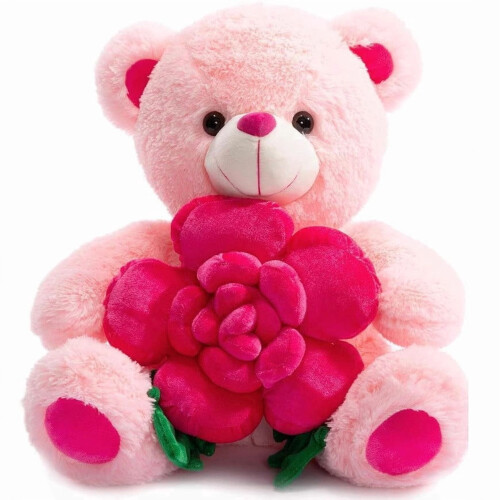 Urso de Pelúcia Rosa 20cm Macio - Presente