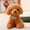 Chien en peluche Teddy marron beige 25 cm 1